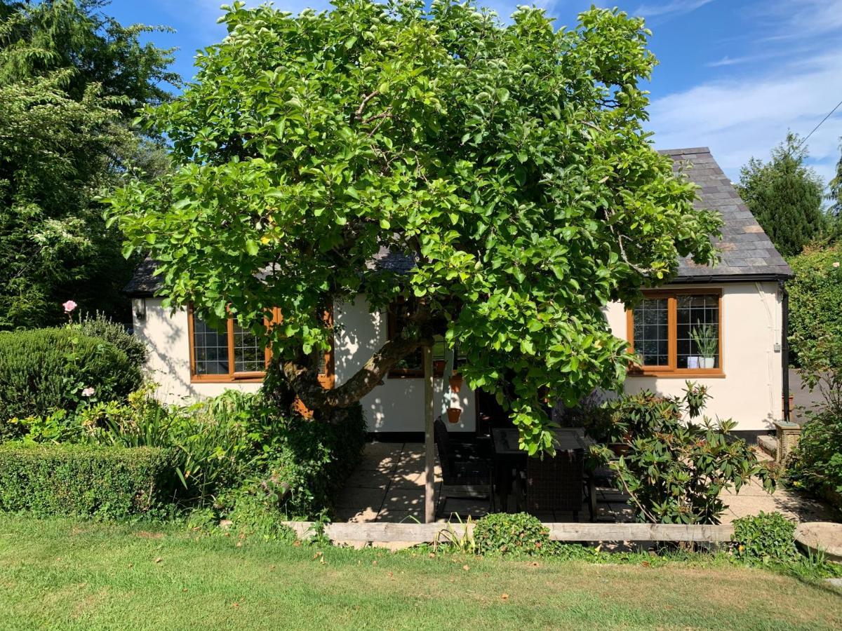 Newton Farmhouse Whiteparish Bagian luar foto