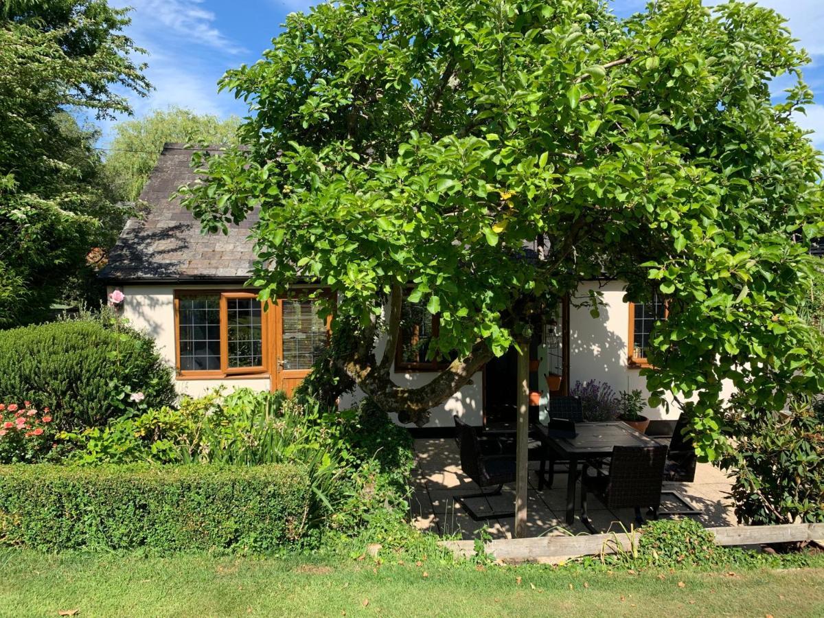 Newton Farmhouse Whiteparish Bagian luar foto
