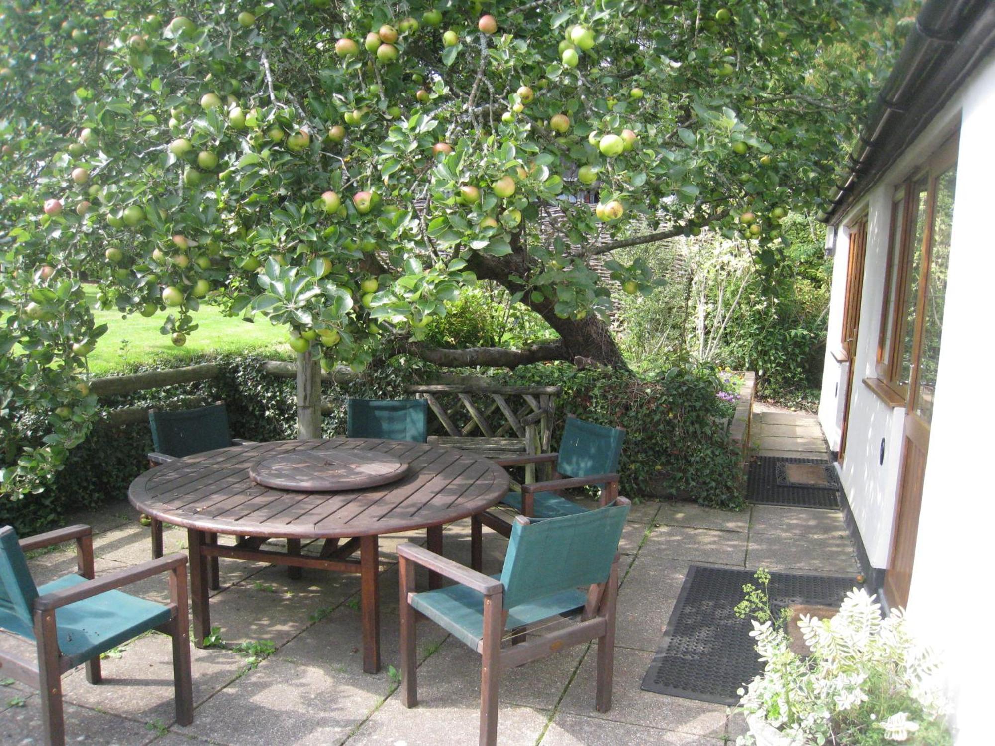 Newton Farmhouse Whiteparish Bagian luar foto